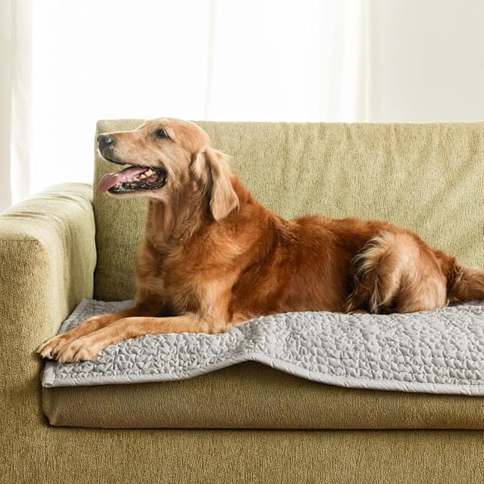 PAULATO BY GA.I.CO. Waterproof Couch Cover – 24x47 Blanket for Sofa Car Seat or Crate – Machine Washable Absorbent Reusable Pad for Puppy Training – Dogs Cats Pets Friendly Protector - Light Grey