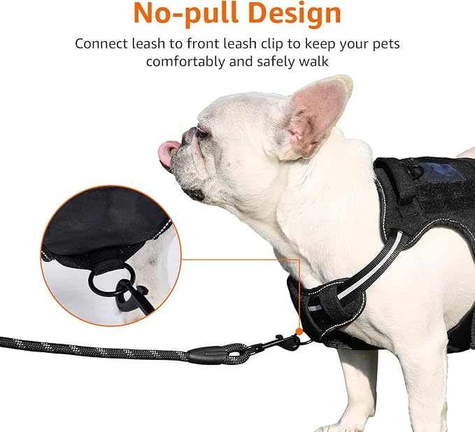 Amazon Basics No-Pull Dog Harness, Adjustable Front Clip, Tactical Vest, Escape Proof, Large, Black