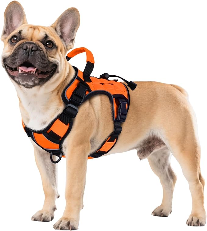 WINGOIN Orange Tactical Dog Harness for Small Dogs,No Pull Dog Harness | Heavy Duty with Handle,Adjustable Reflective,Military K9 Body Pet Vest,for French Bull Pugdog,for Walking Training Running