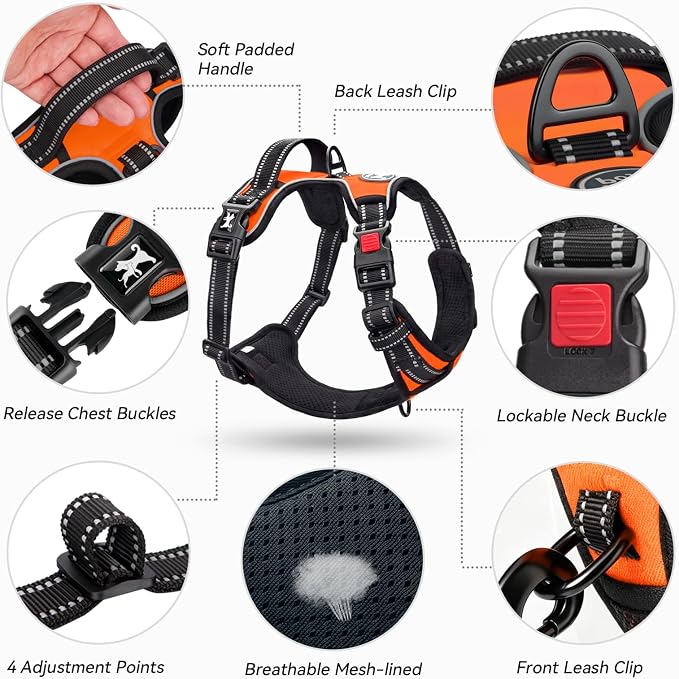 PoyPet No Pull Dog Harness Large with Front Clip & Neck Release Buckle | No Choke, Adjustable Vest, Reflective, Back Clip, Lockable, Soft Padded, Easy Control Handle for Walking Training, XL, Orange
