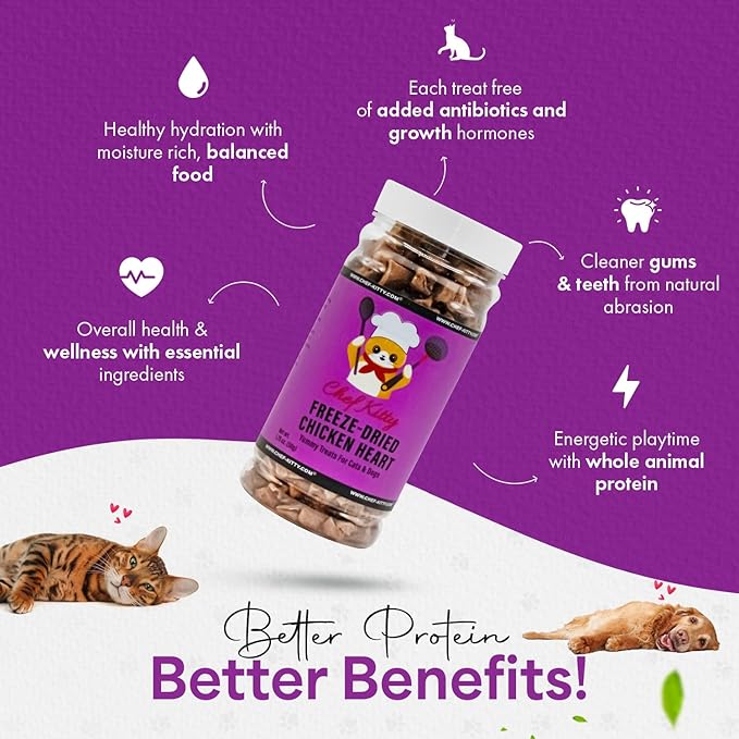 Chicken Hearts for Dogs | Cat Treats Freeze Dried, 100% Human Grade, Single Ingredient | High Protein Cat & Dog Food Toppers | No additives or Preservatives | Inspected & Tested in USA | 1.4 oz.