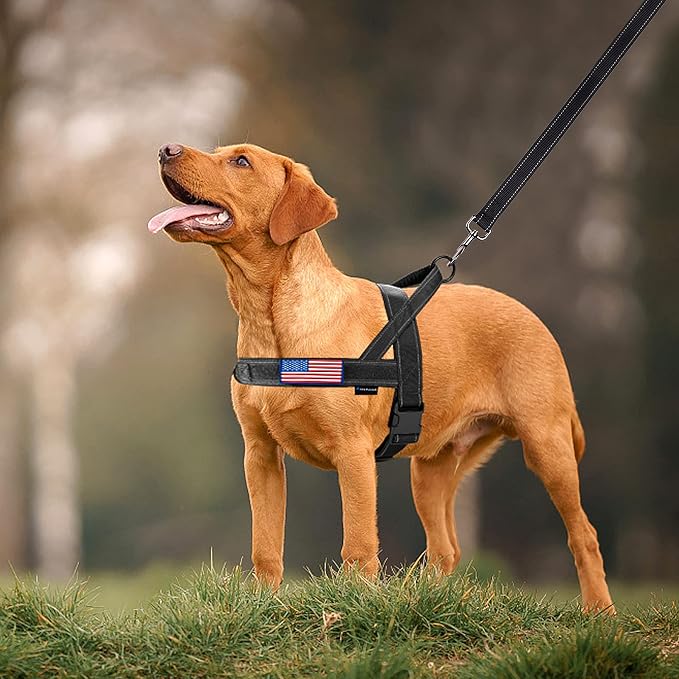 Annchwool No Pull Dog Harness with Padded Handle+5 Ft Leash,Reflective Strip Escape Proof and Quick Fit to Adjust Dog Harness,Easy for Training Walking for Small & Medium and Large Dogs(Black-Set,M)