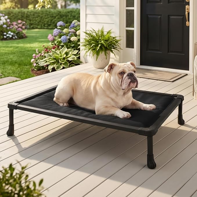Veehoo Chew Proof Elevated Dog Bed, Padded Indestructible Raised Dog Cot | Orthopedic Dog Platform Bed with Padded Mat, Durable Water Resistant Pet Cot for Indoor, Outdoor or Crate, 35", Black