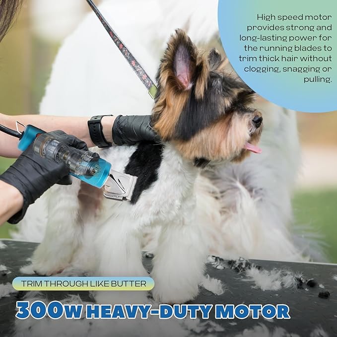 Pet Grooming Clippers, 300W Dog Hair Clippers, 3-Speed Control 5000-7000rpm& 10ft Power Cord, Low Noise< 50db, Dog Trimmer Kit with Extra Detachable Blade, Heavy-Duty for Home& Commercial Use (Blue)
