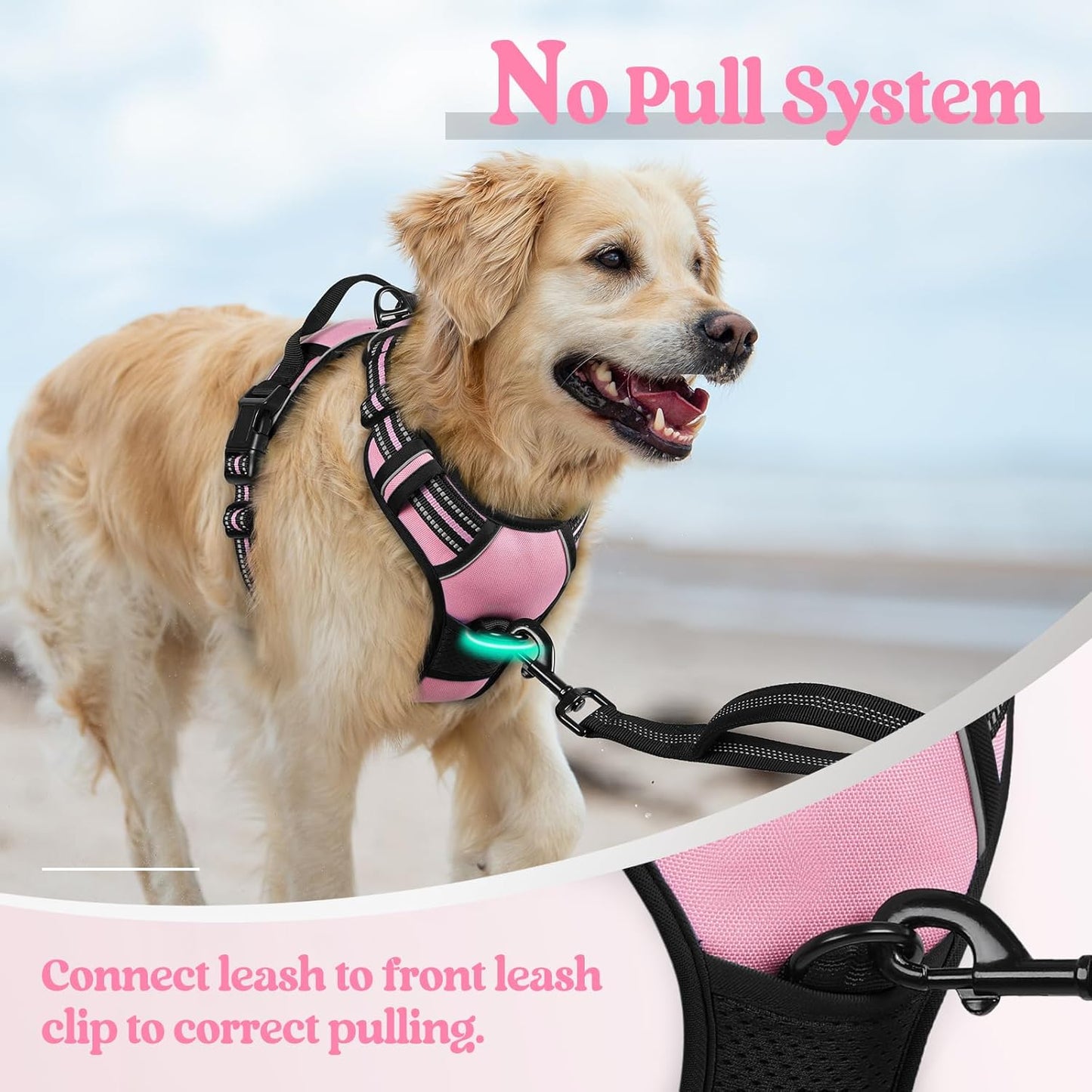 rabbitgoo Dog Harness No Pull with 2 Leash Clips, Adjustable Soft Padded, Reflective Oxford No Choke Pet Vest with Easy Control Handle for Large Dogs, Pink, XL