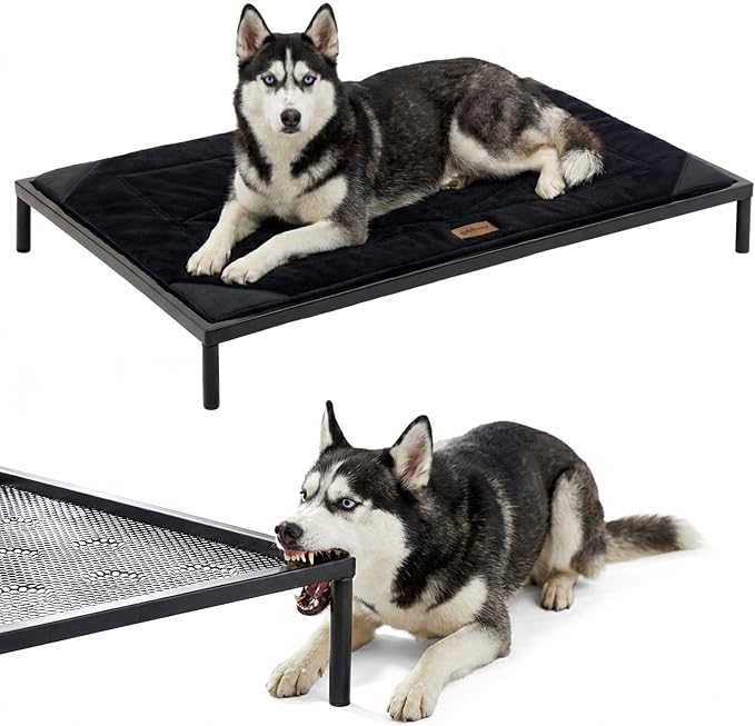 ZOMISIA Chew Proof Elevated Dog Bed for Large Dogs, 42" x 27" x 5", Black | Indestructible Raised Pet Cot for Indoor & Outdoor Use, with Removable Waterproof Padded, Non-Slip & Washable, Easy to Clean