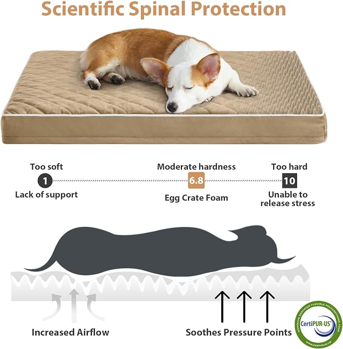 WNPETHOME Orthopedic Waterproof XL Dog Bed for Crate Cozy Sleep | Extra Large Washable Dogs Bed with Removable Cover, Multi-Needle Quilting Dogs XL Crate Bed for Relax , Brown 41x27 Inch