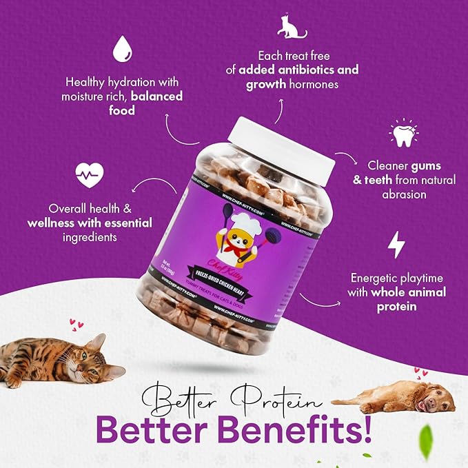 Chicken Hearts for Dogs | Cat Treats Freeze Dried, 100% Human Grade, Single Ingredient | High Protein Cat & Dog Food Toppers | No additives or Preservatives | Inspected & Tested in USA | 2.6 oz.