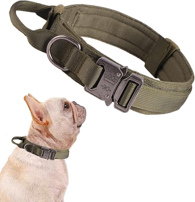 Tactical Dog Collar Adjustable Military Nylon Dog Collar with Control Handle and Heavy Duty Metal Buckle for Medium and Large Dogs (Green,S) | Adjustable Fit,Heavy-Duty Quick-Release Metal Buckle,1000D Nylon Fabric,Soft-Padded Webbing,D-Ring,for Traini...