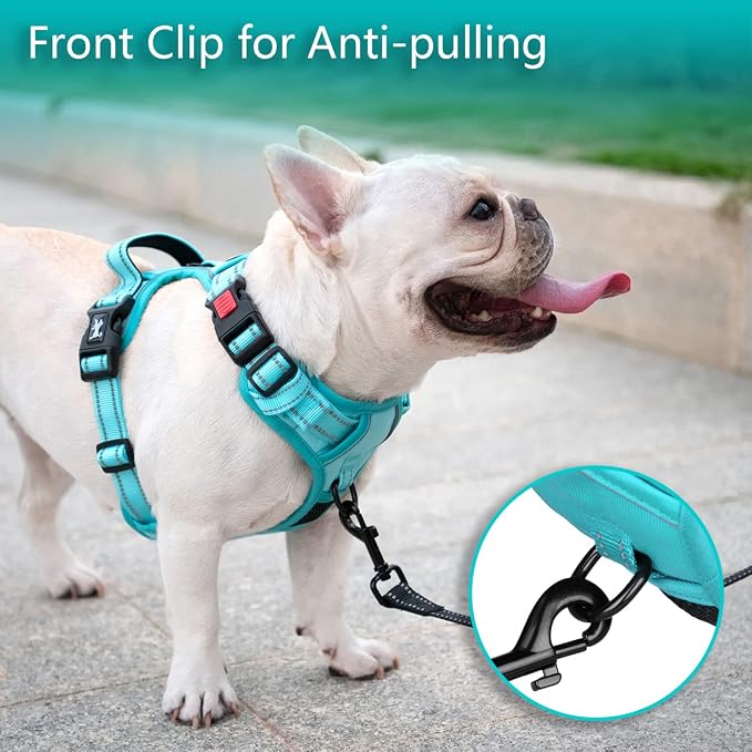 PoyPet No Pull Dog Harness, Reflective Vest with 2 Leash Clips & Handle | Lockable Neck Release Buckle, No Choke, Adjustable, Soft Padded, for Walking Training, Mint Blue Matching Trim, X-Large