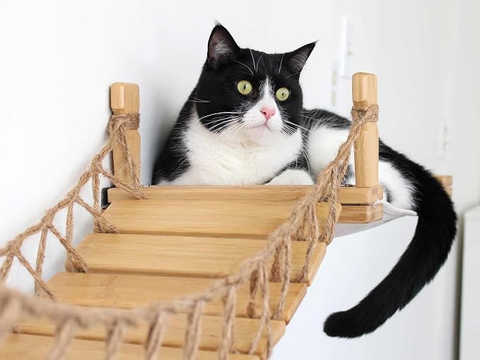 CatastrophiCreations Cat Bridge Wall-Mounted Play and Lounge Toy Cat Tree with Fabric Lounger for Pets - English Chestnut/Charcoal Gray, One Size