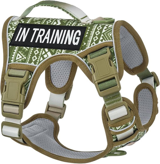 AUNZO No-Pull Dog Harness for Small Dog Breeds, Escapeproof Easy Walking Reflective Adjustable Lightweight Dog Vest with Breathable Oxford Material, Easy on Easy Off with Neck Buckle, Green Ethnic XS