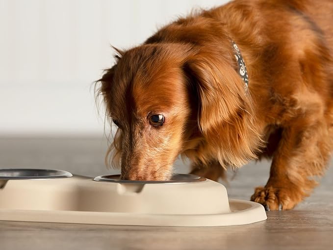 WeatherTech Double Low Pet Feeding System - Compact and Portable Dog/Cat Food and Water Station - 32 oz (4 Cups) Tan (DL3203TN)