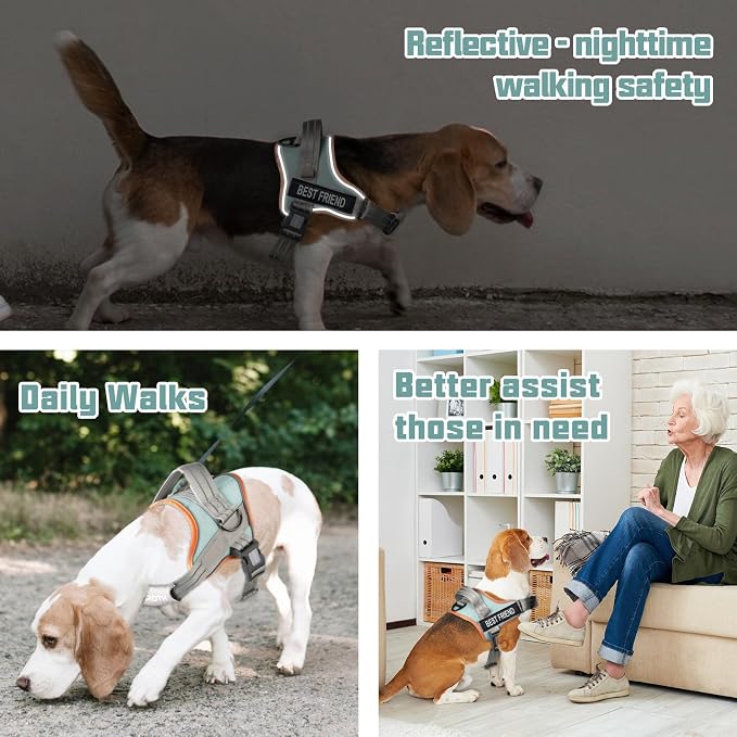 AUROTH Dog Harness and Leash Set for Large Sized Dog, No Pull Dog Vest | with Leash Clips, LED light clip, Soft Padded No Choke, Escape Proof, Easy Walking and Training, Macaron Blue, XL