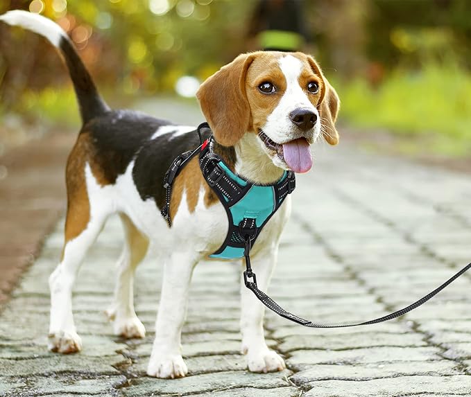 PoyPet No Pull Dog Harness Medium with Front Clip & Neck Release Buckle | No Choke, Adjustable Vest, Reflective, Back Clip, Lockable, Soft Padded Handle for Walking Training, M, Mint Blue