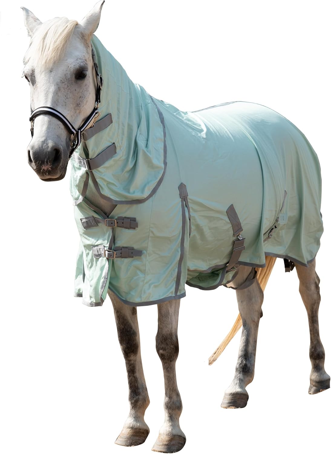 Horse Fly Sheet with Detachable Neck Cover & Belly Wrap, Adjustable Fly Sheet for Horses, Ventilated Airflow Mesh Equine Cooling Summer Flysheet Green 78