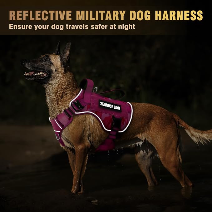 2X Metal Buckle Service Working MOLLE Dog Vest with 10 Pet Patches | Tactical Dog Harness for Large Dog, No-pull Military Working Vest for Training Hunting Walking，2x D Rings for Leash Clip