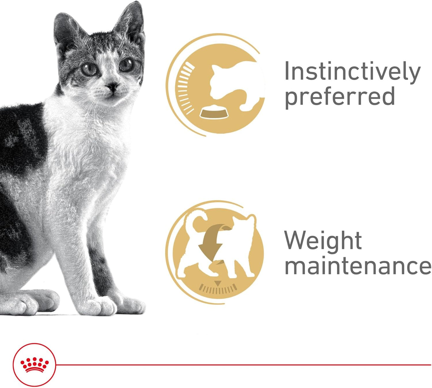 Royal Canin Adult Feline Health Nutrition Instinctive Thin Slices in Gravy Canned Wet Cat Food, 3 oz can (24-count)