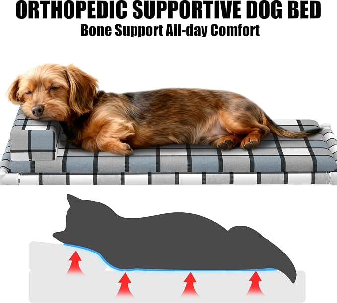 Elevated Dog Bed with Cushion & Bolster, Raised Dog Beds with Pillow & Mat | Medium Cooling Lifted Indoor Outdoor Portable Lifted Pet Cot Stainless Steel Frame Indoor Outside Breathable Hammock Beds