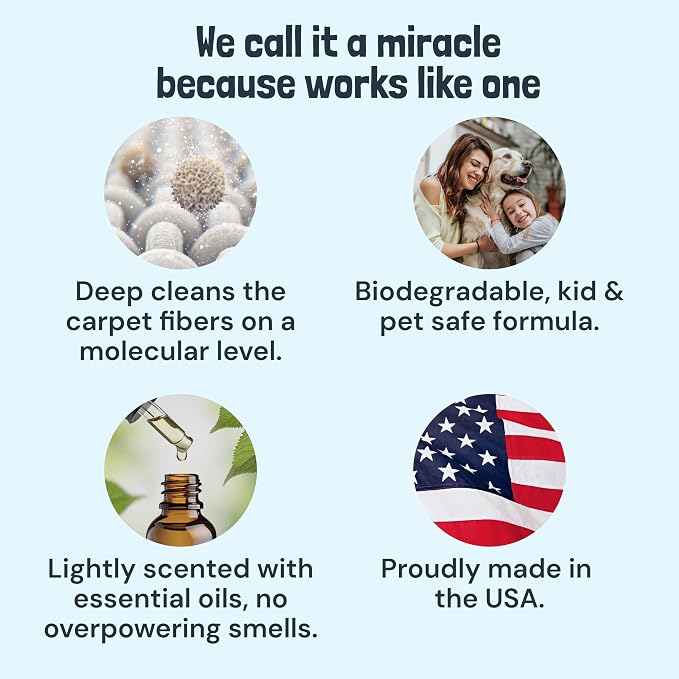 Sunny & Honey Carpet Cleaner Shampoo Solution for Machines, 32floz Mint | USA Made - Stain and Odor Eliminator - Cleans Carpets and Upholstery - For Upright and Spot Cleaners - Concentrated Formula