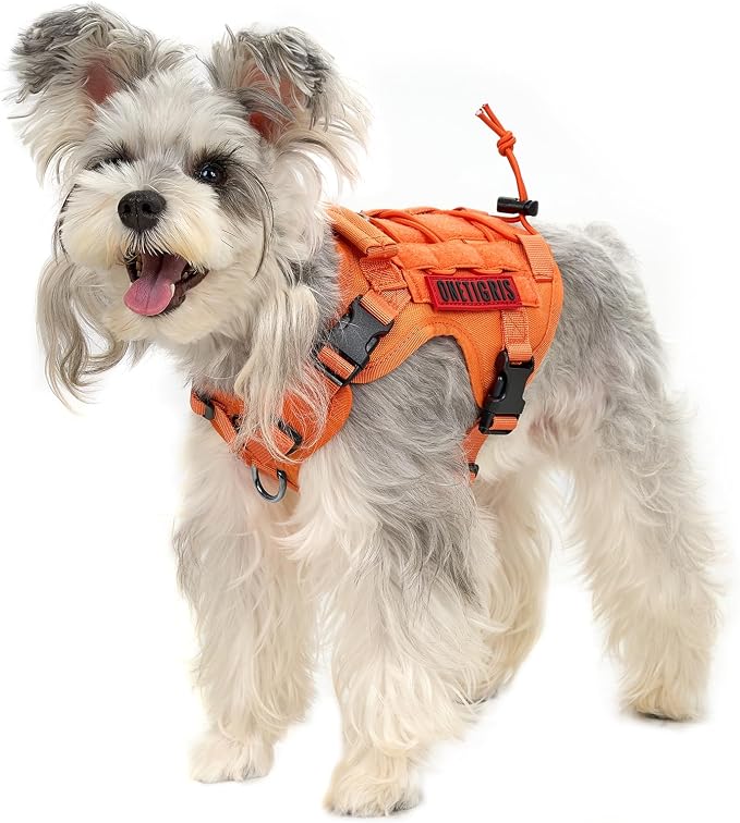 OneTigris Tactical Dog Harness Vest No-Pull Service Dog Vest for Small Dogs | 1000D Pullable Nylon, with Control Handle and Hook & Loop Panels, Easy On & Off, Adjustable for Walking Training Orange XS