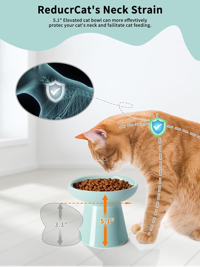 LoeJan Elevated Cat Food and Water Bowls Set, Extra Wide and Raised Ceramic Feeder, Anti-Vomit Whisker-Free Pressure Feeding Bowl for Kittens Adult Small Dogs, Blue