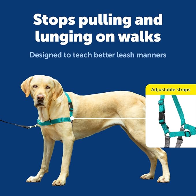 PetSafe Easy Walk Harness, No Pull Dog Harness, Large, Teal | Patented Martingale Loop Gives Gradual Shoulder Pressure to Stop Pulling, Front-Chest Leash Clip Prevents Gagging