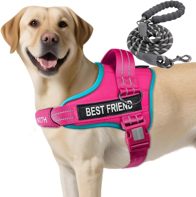 AUROTH Dog Harness for Large Dogs No Pull Tactical Harness and Leash Set | with Leash Clips, LED light clip, Breathable Mesh Padded No Choke, Easy Walking and Training, Rose Red, Large
