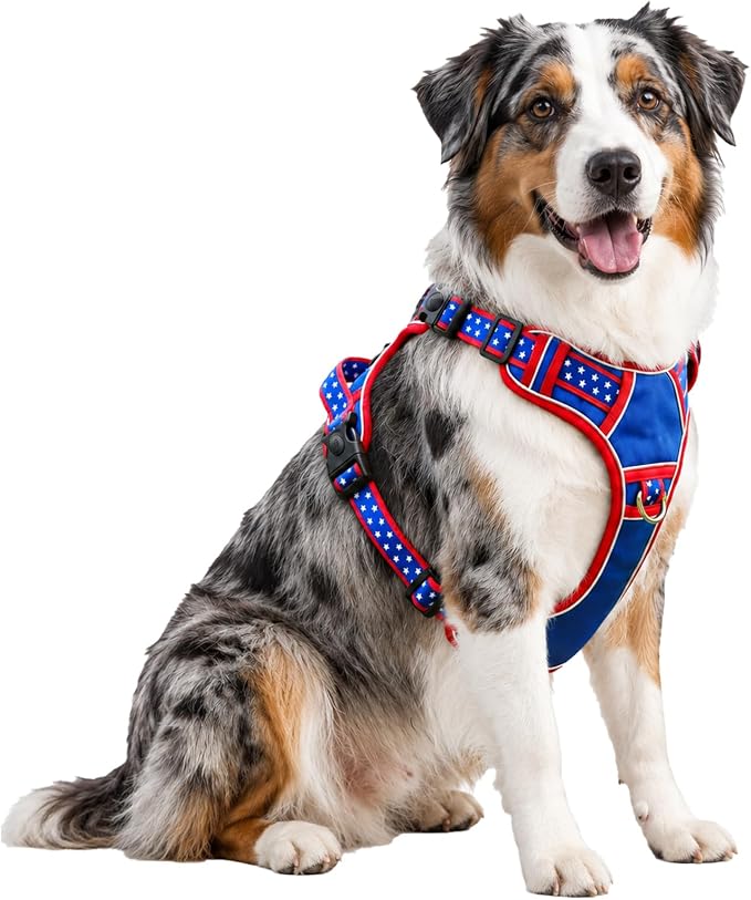 Large Dog Harness No Pull, Heavy Duty Tactical Harness for Pet Labrador, Pitbull, 3 Buckles Easy On Doggie Vest with Sturdy Handle, Front Clip Training Harness for Boy Girl Puppy Walking (L)