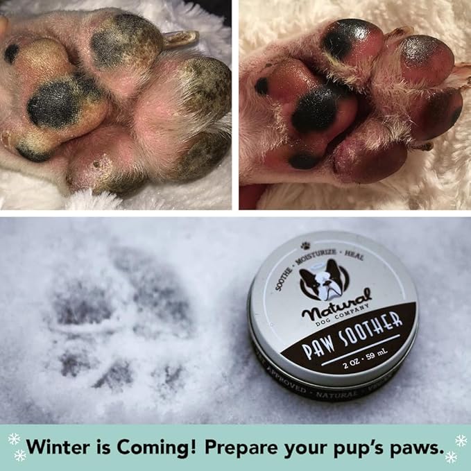 Natural Dog Company Paw Soother Balm & Wax - Dog Paw Balm & Moisturizer for Dry, Cracked Paw Pads, Helps Moisturize & Condition Winter-Worn Paws, Coconut Oil & Calendula, Daily Paw Care, 1 oz Tin