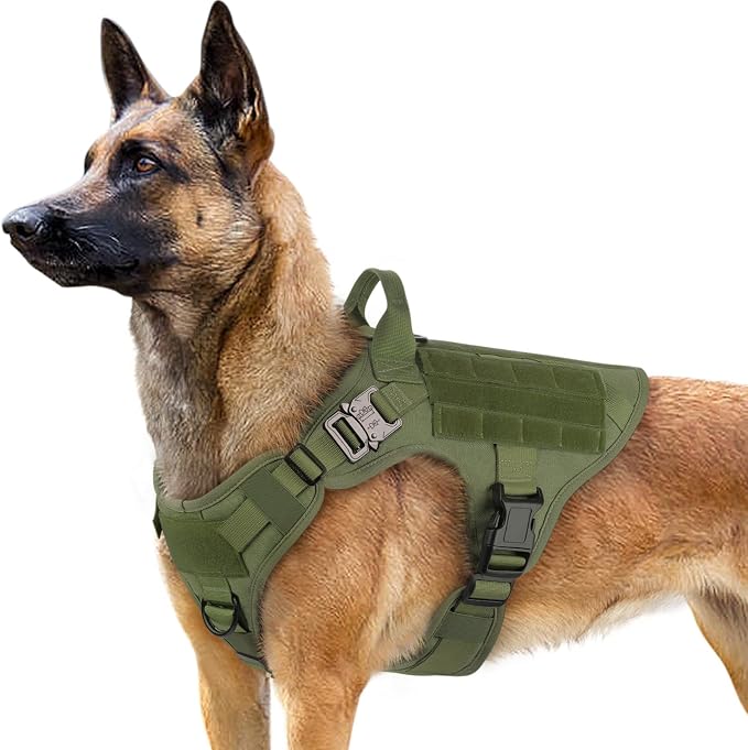 rabbitgoo Tactical Dog Harness for Large, Heavy Duty Military No Pull Vest | Sturdy Metal Buckles, 5 Adjustments, Molle System, Powerful Pullers for Training, Hunting, Outdoor, Green, Large