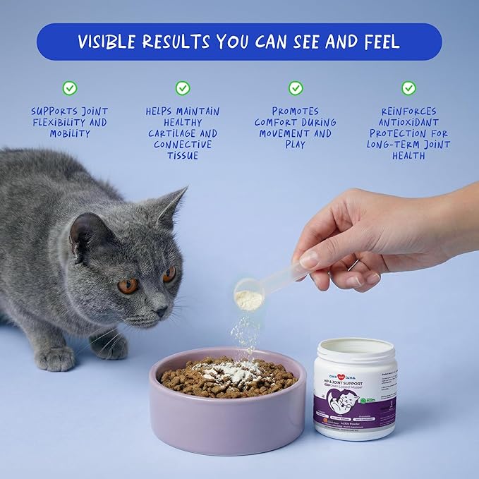 Hip and Joint Supplement for Cats - Glucosamine Powder with Green Lipped Mussel, MSM, Chondroitin, and Vitamin E - 4.23oz/120g