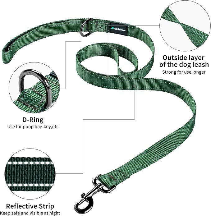 Annchwool No Pull Dog Harness with Padded Handle+5 Ft Leash,Reflective Strip Escape Proof and Quick Fit to Adjust Dog Harness,Easy for Training Walking for Small & Medium and Large Dogs(Green-Set,L)