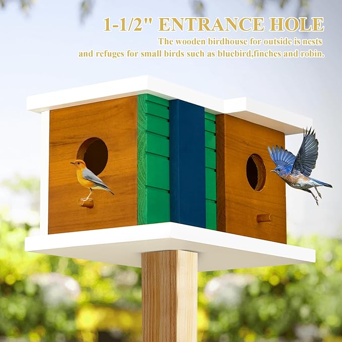 CLACKIBUKVYZ Bird House - Wooden Birdhouse with 2 Entrances - Outdoor Hanging Bird Nesting Box for Bluebirds, Finches, Cardinals - Durable Solid Wood Design, Ideal for Garden Decoration