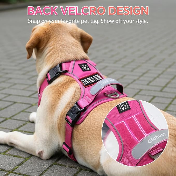 Heavy Duty Tactical Dog Harness for Small Dogs, No Pull Dog Harness with Handle & Front Clip, Reflective Soft Padded, Hook and Loop Panel, Dog Vest for Walking, Service Training, Hotpink