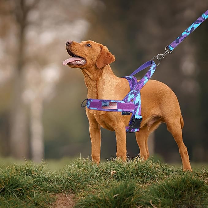 Annchwool No Pull Dog Harness with Soft Padded Handle,Escape Proof and Quick Fit to Adjust Dog Harness,Easy for Training Walking for Small & Medium and Large Dogs(Camo Purple,S)