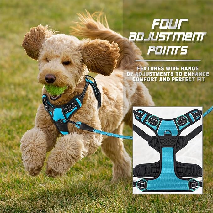 BARKBAY Dog Harness No Pull for Small Sized Dog Front Back Clips,Dog Vest | Soft Padded No Choke With Handle,Easy On&Off,Adjustable Reflective For Walking Training Running(Blue,XS)
