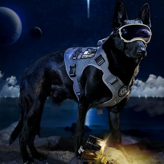 OneTigris Tactical Dog Harness Vest No-Pull Service Dog Vest for Small Dogs | 1000D Pullable Nylon, with Control Handle and Hook & Loop Panels, Easy On & Off, Adjustable for Walking Training Gray XXS