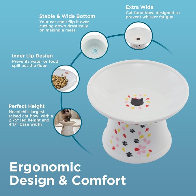 Necoichi Elevated Cat Food Bowl, Ceramic (Porcelain), Whisker-Friendly, Dishwasher & Microwave Safe, Non-Slip Silicone Base, Anti-Vomiting & Neck Fatigue (Sakura Floral, Extra Wide)