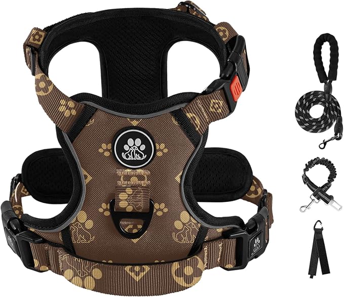 IVY&LANE No Pull Dog Harness with Leash Set, Reflective No Choke Pet Vest,Adjustable Oxford Dog Vest Harness with Easy Control Handle for Small Dogs (Dark Brown,S)