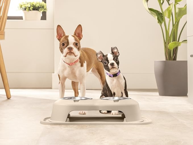 WeatherTech Double High Pet Feeding System - Elevated Dog/Cat Bowls - 4 inch High Dark Grey (DHC1604DGDG)