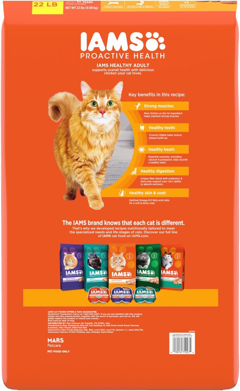 IAMS Proactive Health Adult Healthy Dry Cat Food with Chicken, 22 lb. Bag