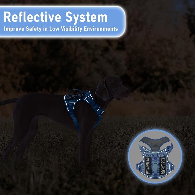 No Pull Dog Harness for Large Dogs with 2 Metal Clips, Easy On/Off with Neck Buckle, Heavy Duty Adjustable Tactical Puppy Vest, Breathable Pet Harness with Easy Control Handle, Blue L