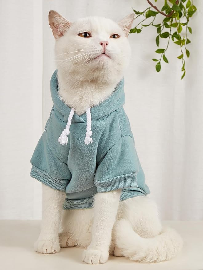 QWINEE Basic Dog Hoodie Sweatshirt Puppy Sweater Warm Cat Costumes Pet Clothes for Chihuahua Puppy Kitten Small Medium Dogs Black Green and Grey X-Small