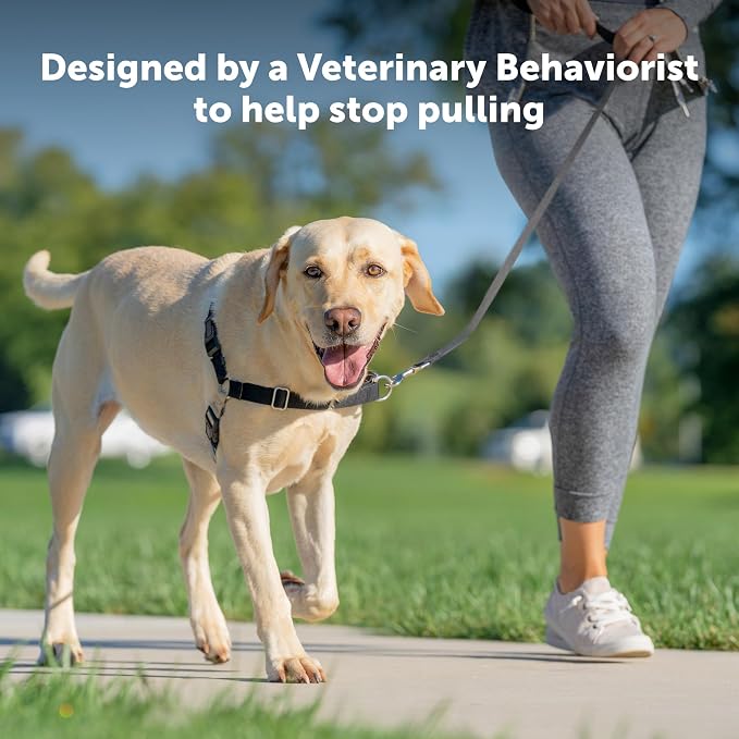 PetSafe Easy Walk Harness for Dogs - Pull-Free Walks - Patented Martingale Loop Design - Front Chest Leash Attachment - Comfort Straps - Breathable Harness Design - Large, Charcoal/Black(Pack of 3)