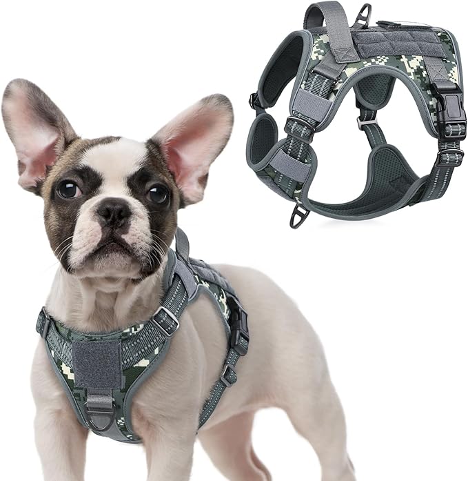 rabbitgoo Tactical Dog Harness for Small, No Pull Military Service Vest | Molle & Handle, Heavy Duty, Adjustable, Reflective Straps, Easy Control for Training Walking, Grey Camo, Small