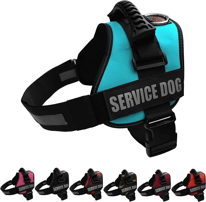 Service Dog Vest Harness – Reflective Service Animal Vest, No-Pull Harness with Handle & Mesh Padding – Sizes XXS-XL for Puppies – 2 Removable Service Patches Included (Extra Large, Blue)