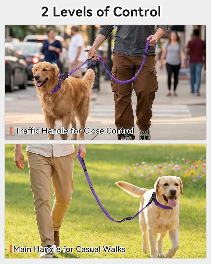 Joytale Tactical Bungee Dog Leash, Shock Absorbing No Pull, Purple | for Large Dogs That Pull, 2 Padded Handles for Control, Car Seatbelt Clip, Reflective for Night Safety, Metal Frog Clip