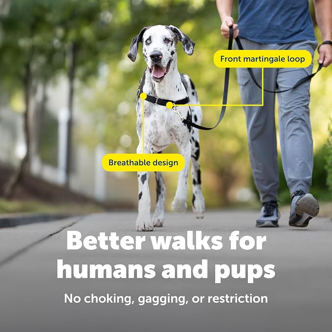 PetSafe Easy Walk Harness, No Pull Dog Harness, Charcoal Gray, Extra Large | Patented Martingale Loop Gives Gradual Shoulder Pressure to Stop Pulling, Front-Chest Leash Clip Prevents Gagging