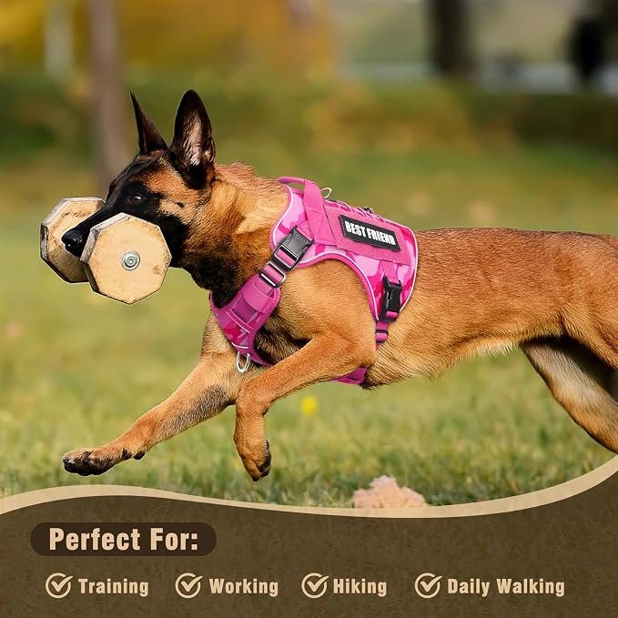Tactical Dog Harness Medium Sized Dog,No Pull Military Dog Vest with Easy Control Handle&Molle,Adjustable Heavy Duty Pet Harness for K9 Working Hiking Training Daily Walking Camo Pink M